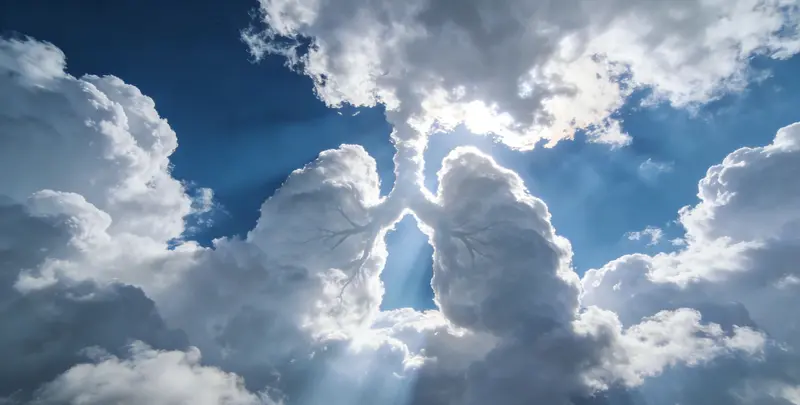 宣城肺癌靶向120基因检测（组织）图片1