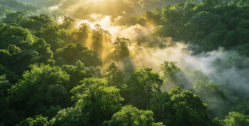 宣城肺癌12基因ctDNA突变检测(血液）图片1