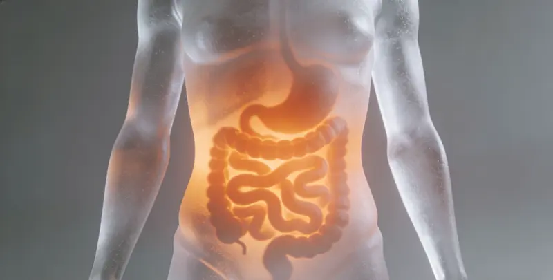 宣城胃癌靶向用药39基因检测及PDL122C3表达检测套餐（组织）图片1